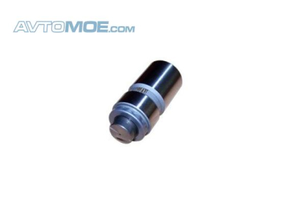 Гидрокомпенсатор 4801007030BB Chery (фото №1)